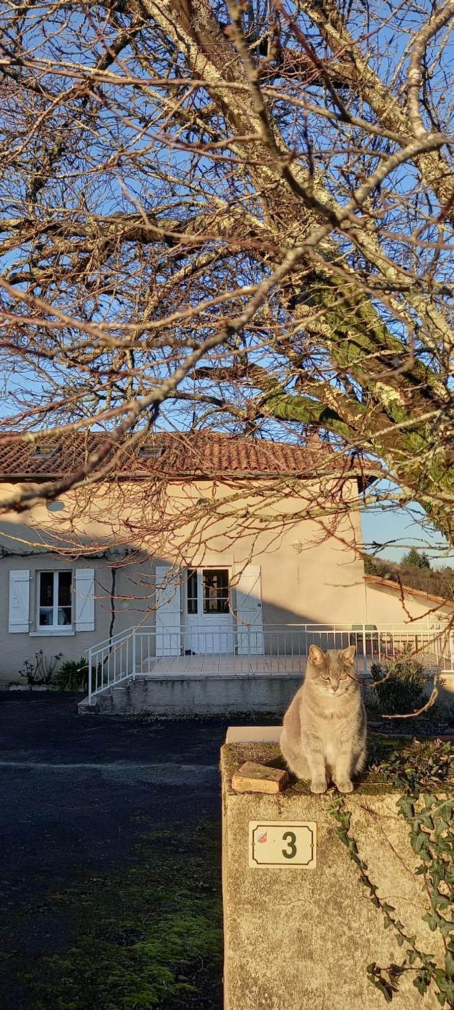 Bed and Breakfast La Mesange Bleue Ecuras Exterior foto